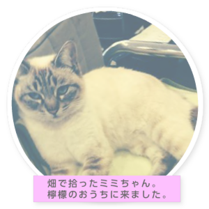 ミミちゃんの部屋