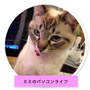 ミミちゃんの部屋