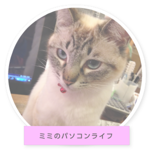 ミミちゃんの部屋