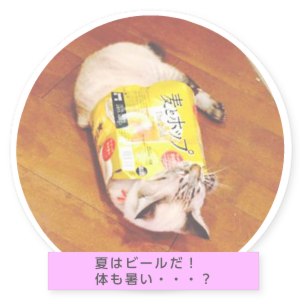 ミミちゃんの部屋