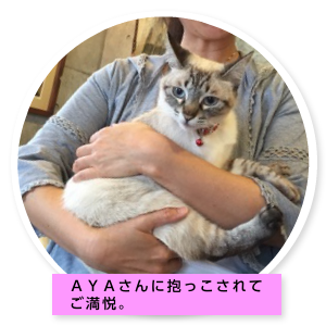 ミミちゃんの部屋