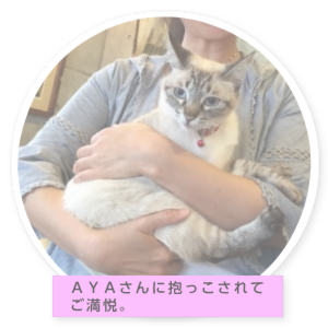 ミミちゃんの部屋