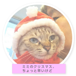 ミミちゃんの部屋