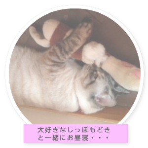 ミミちゃんの部屋