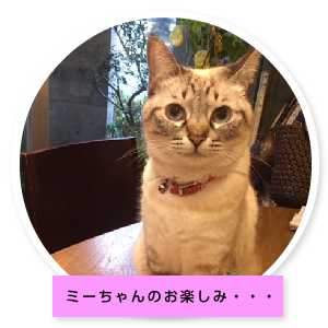 ミミちゃんの部屋