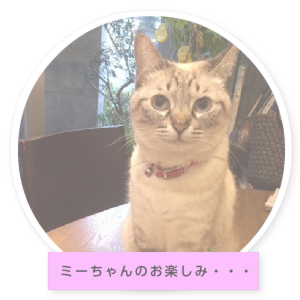 ミミちゃんの部屋