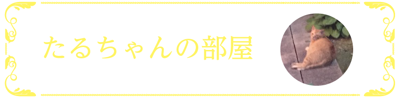 たるちゃんの部屋