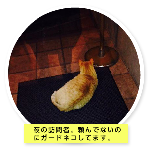たるちゃんの部屋