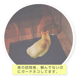 たるちゃんの部屋