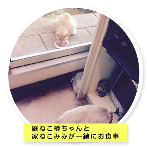 たるちゃんの部屋
